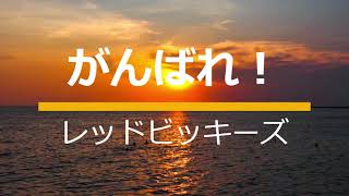 がんばれ！レッドビッキーズ