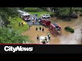 Hurricane Helene leaves trail of destruction