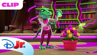 The Flower Contest 🌷 | Spidey and His Amazing Friends 🕸️ | Disney Jr. MENA