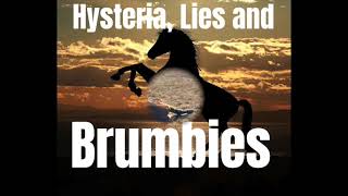 HYSTERIA,  LIES AND BRUMBIES