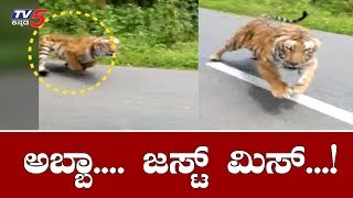 Tiger Chasing Bike Rider In Bandipur | Chamarajanagar | TV5 Kannada