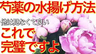 シャクヤク（芍薬）の水揚げ方法