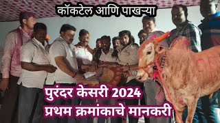 पुरंदर केसरी 2024 प्रथम क्रमांकाचा मानकरी कॉकटेल आणि पाखऱ्या #bailgada #naadekachbailgadasharyat