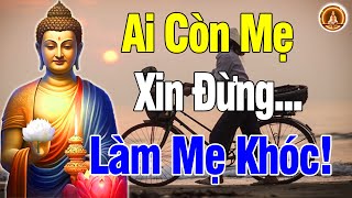 Nằm nghe Lời Phật Dạy Ai Còn Mẹ, Đừng Để Mẹ Khóc – Những Lời Nhắc Nhở Đầy Xúc Cảm Giữa Tết Cận Kề