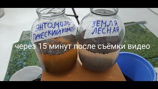 Лучшее органическое удобрение БИОгумус ПРАВИЛЬНО своими руками