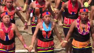 Aoleang Festival 2019 - LARGEST TRADITIONAL KONYAK DANCE