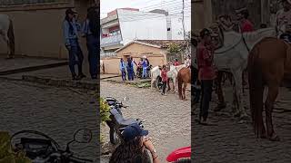 #Cavalgada hoje na minha cidade #foryou #shorts #shortvideo #viral#cavalo