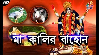 মা কালির বাহন । Maa Kalir Bahon | Devotional Tips | Pabitra Bangla