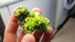 Pyromorphite Chine (ref: B22-31)