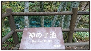 【神の子池】北海道清里町に行ってきました