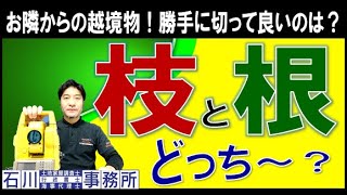 【越境物】勝手に切って良いのは？枝と根、どっち～？土地家屋調査士・宅地建物取引士が、民法第233条(竹木の枝の切除及び根の切取り)を手描き図解説。