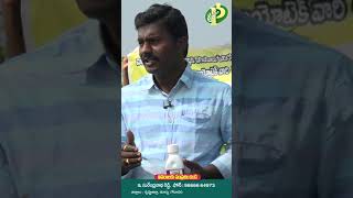 కోకోలి గురించి రైతు మాటల్లో .. | Annapurna agri space | Prathibha biotech #youtubeshorts #shorts