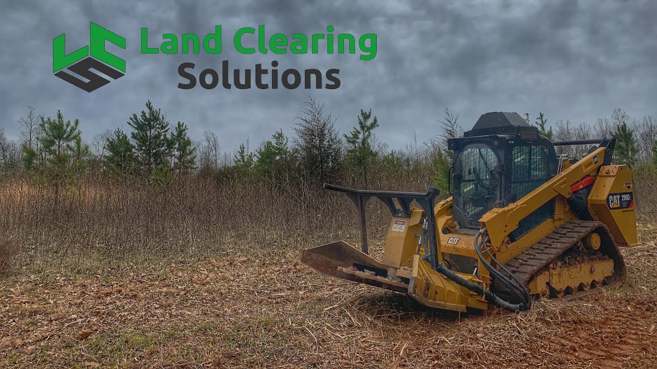 Forestry Mulching Overgrown Fields Youtube