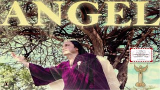 "ANGEL" SONG BY TAHER SHAH | AWARD-WINNING |