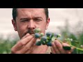 Brad Hocking | Australian Blueberry horticulturalist