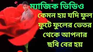 #banglatutiral Video ম্যাজিক ভিডিও কেমন হয় যদি গোলাপ ফুল ফুটে ফুলের ভেতর থেকে আপনার ছবিটি বের হয়।