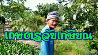 เกษตรกรสูงวัย #ทำเกษตรแบบพึ่งพาตนเอง#ไม่เป็นภาระลูกหลาน