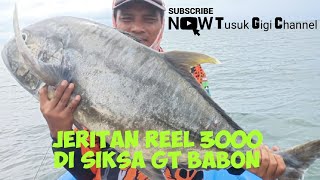 Mancing tehnik popping : Jeritan Reel 3000 disiksa GT Babon