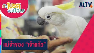 แม่จ๋าของ “เจ้าแก้ว” | ตัวโปรด ตัวป่วน (15 เม.ย. 65)