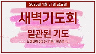 2025년 1월 31일 전포교회 새벽기도회 실황