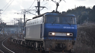 【コンテナ0個！】山陽本線 1056レ EF200-19[吹]牽引 大門駅→笠岡駅間通過！