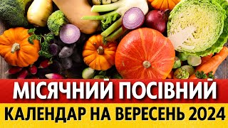 ЩО та КОЛИ робити на городі у вересні 2024 за місячним календарем Місячний календар городника