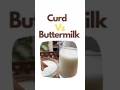 #shorts curd Vs buttermilk#benefits of curd and buttermilk# healthy diet#