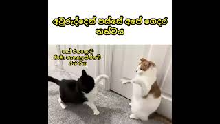 හපොයි 🤣🤣😂😂 @ireshamadushanikumari9131  #viral #trendingshorts #trending