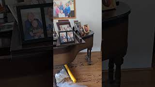 Hurricane Helene damage - Joanne's house