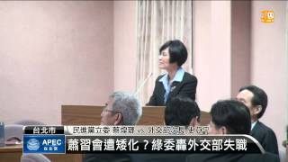 【2014.11.12】綠批APEC遭矮化 史亞平:並無此事 -udn tv