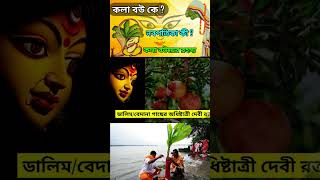 নবপত্রিকার নয়টি গাছ | Durga puja 2024