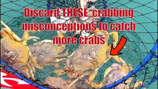 Discard THESE  Crabbing misconceptions to catch more crabs | From Zero to Limits