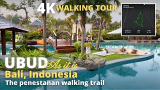 Ubud Bali Indonesia: 4K Virtual Walking Tour | Relax 4K video | The penestanan walking trail