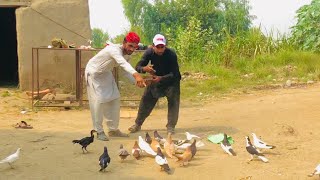 Kaboter Baaz Or Faqeer Funny Video😂😂 Wait for end || Funny Star Bhai