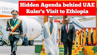 Hidden Agenda behind UAE Ruler's Visit to Ethiopia