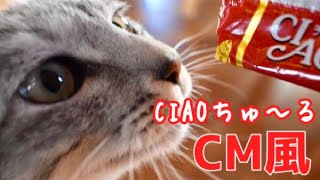 【CM風】CIAOちゅ〜る