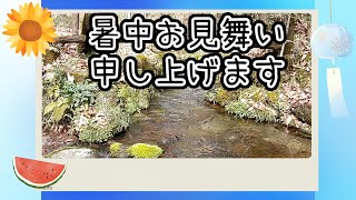 暑中お見舞い申し上げます。夏のご挨拶