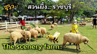 รีวิว สวนผึ้ง-ราชบุรี.. The scenery farm and cafe |คลิปท่องเที่ยวภาษาอังกฤษกับครูแมค