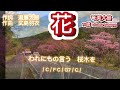 花.童謡.唱歌🎵 243 歌詞･コード付き ウクレレ弾き語り