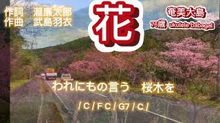 花.童謡.唱歌🎵(243)歌詞･コード付き/ウクレレ弾き語り/