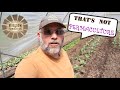 THAT'S Not Permaculture! | Heirloom Permaculture Homestead | Everyone has an OPINION