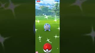 ポケモンGo 色違い ニョロモ