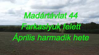 Madártávlat 44 Farkaslyuk felett Április harmadik hete