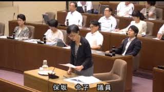 2018/9/5(鎌倉市議会)保坂議員一般質問（村岡新駅等）