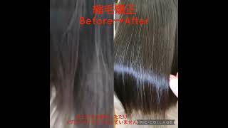 浜松市中区美容院サロンドグリーン。縮毛矯正Before→After。仕上がりは乾かしただけ。ブローやアイロンはしていません。