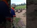 KURE Viral Remix 2026 | Zimbabwe Military  Zim TikTok Trending Audio