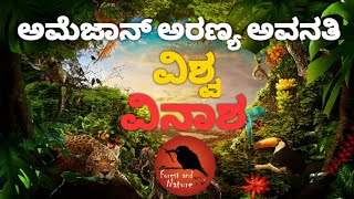 ಅಮೆಜಾನ್ ಅರಣ್ಯ ಅವನತಿ ವಿಶ್ವ ವಿನಾಶ.Amazon forest degradation is world destruction.Forest and Nature Tv