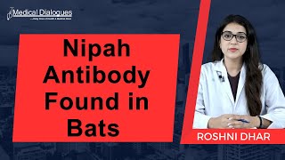 Medical research panel says Nipah antibody present in bats: Kerala minister