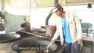 โครงการจัดสร้างโรงงานสกัดน้ำมันพืช และผลิตไบโอดีเซลครบวงจร จ เพชรบุรี