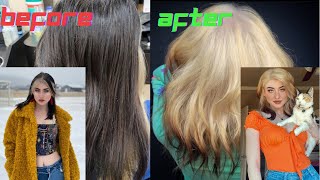 Black Box Dye to Reverse Ombré in ONE SESSION